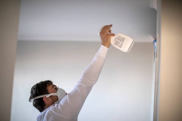 Best Black Mold Removal  in Springfield, CO