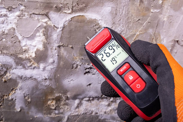 Best Professional Mold Removal  in Springfield, CO