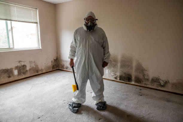 Best Professional Mold Removal  in Springfield, CO